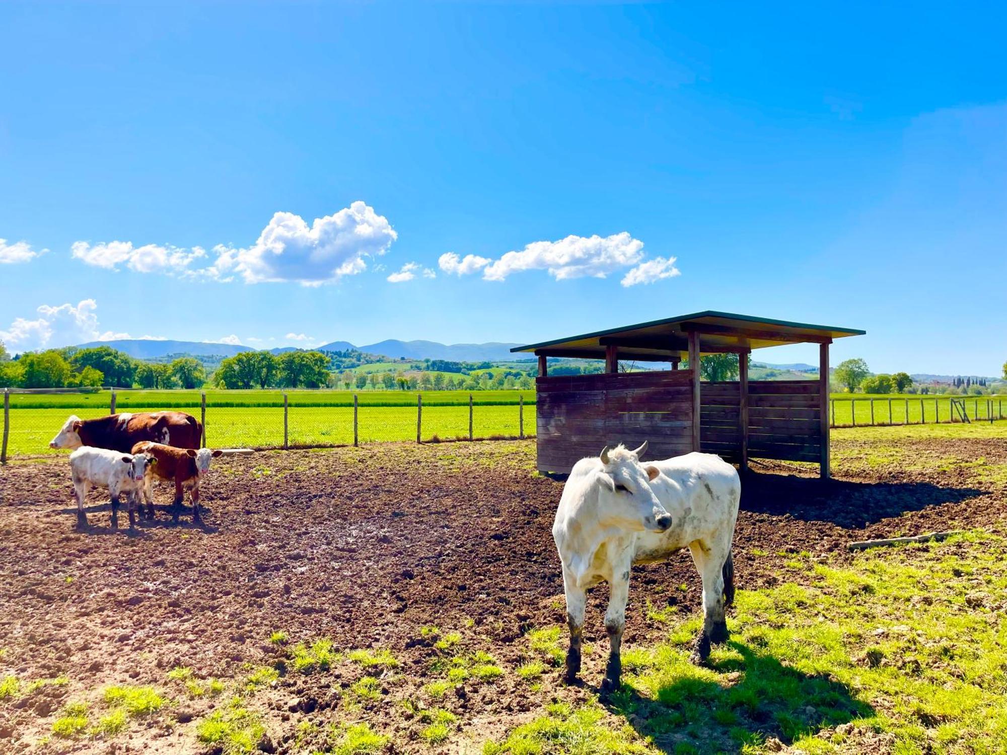 Vila Casale Rotoloni Protte Exteriér fotografie